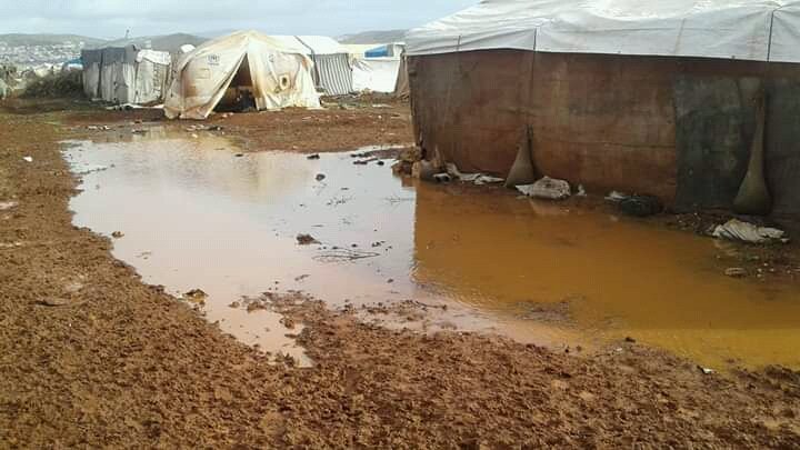 Tarek_na tweet media