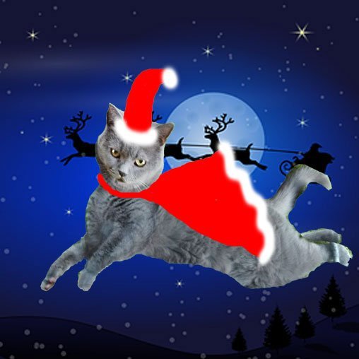 filzballjaeger's tweet photo. Paws forward, North Wind come. Blow some wind, right up my cape! #FlyingWithSanta and @SantasCat tonight β€οΈ https://t.co/GOMKGlxuLe