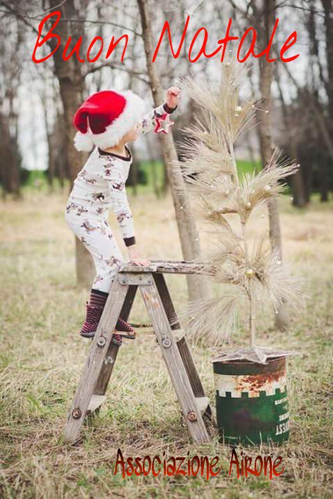 As_Airone's tweet photo. Sereno #Natale https://t.co/seeMVeOfnT