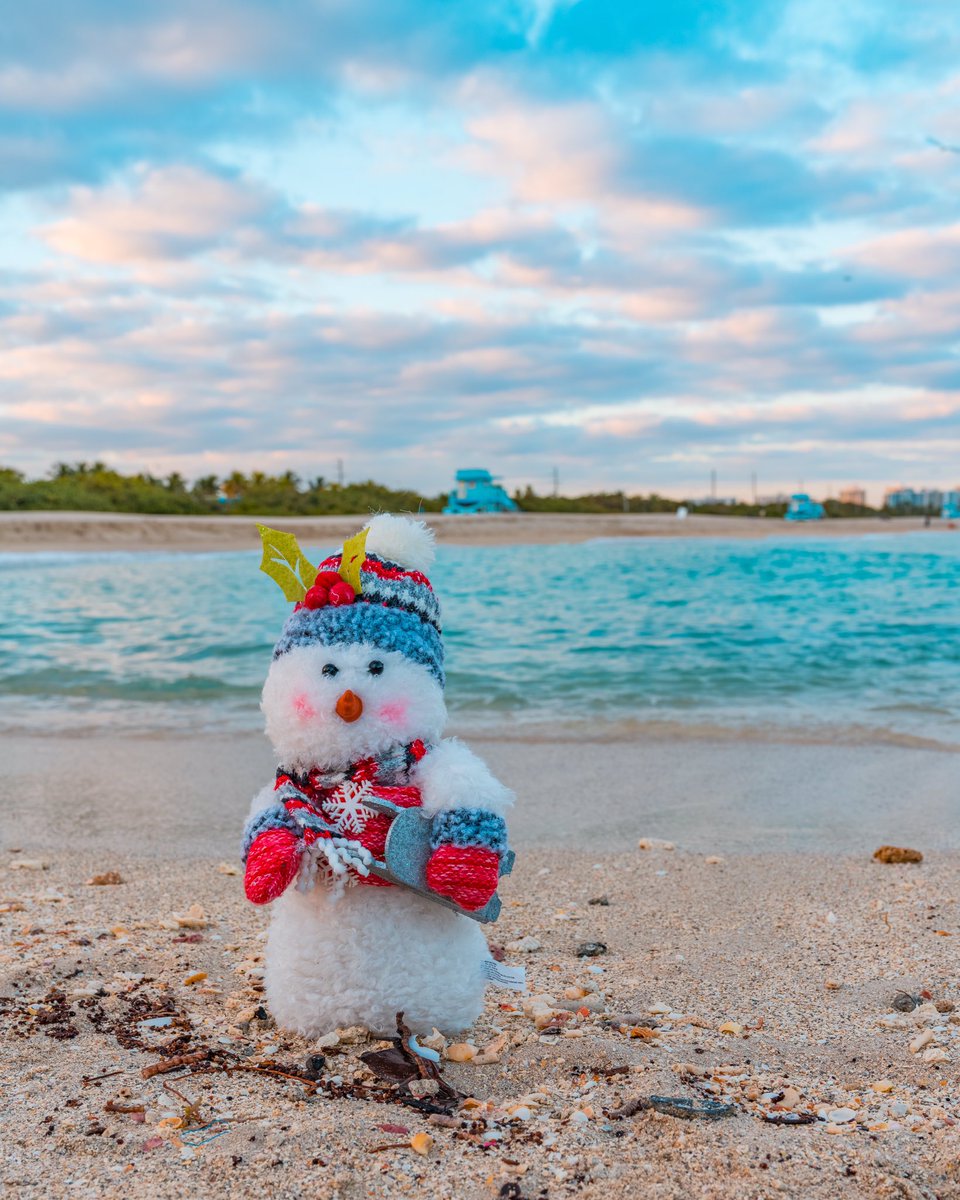 OMalikoff's tweet photo. Merry Christmas 
📷Sony A7Riii + Sony 24-70 mm G Master 
#sonyalpha #bealpha #xmas #miami https://t.co/Ip9LzNUfFx