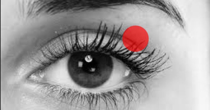 Arti Kedutan Artikedutan Twitter