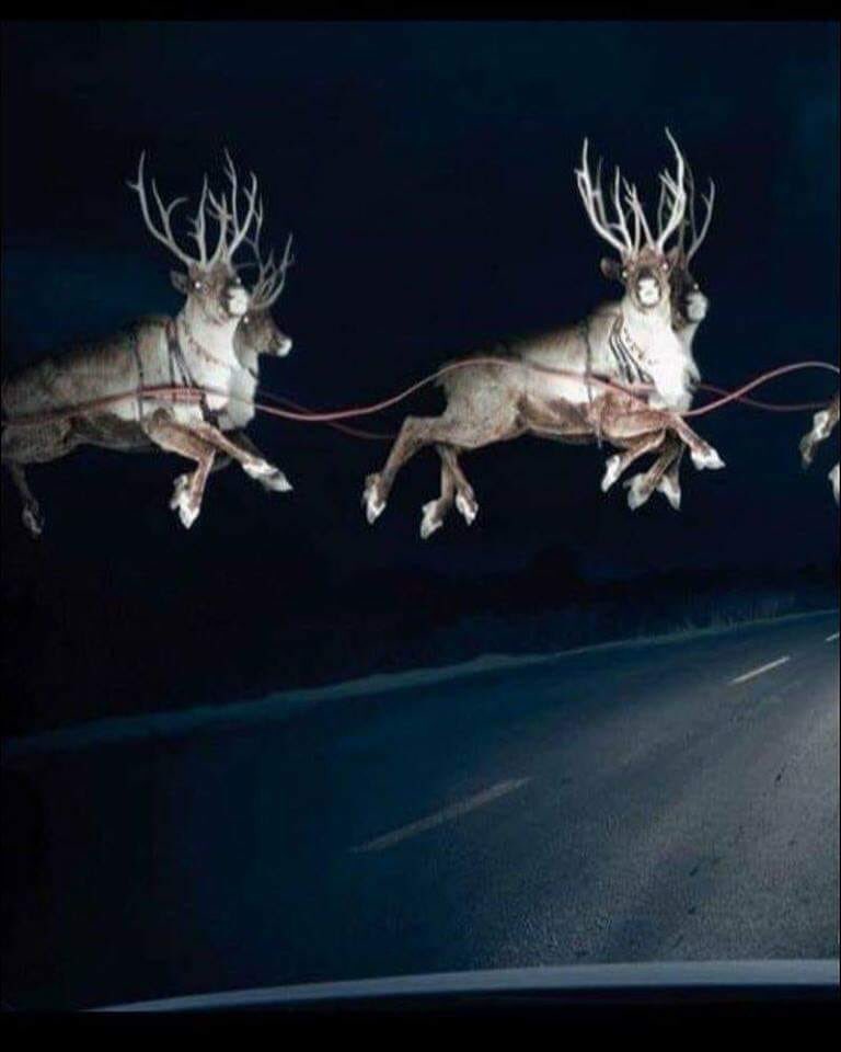 HotSpringsPD's tweet photo. One of our officers caught this on his dash cam! We hope everyone gets home safely and into bed soon! #Santa #ChristmasEve2018 #closecall #failtoyield #hotsprings https://t.co/8XrQaB2neb
