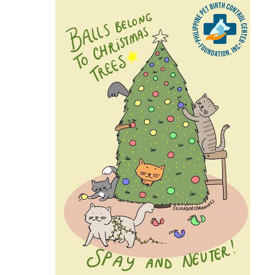 ppbcc_vet's tweet photo. Merry Christmas 🎄🎄🎄 #CatsOfTwitter #cats https://t.co/CRq3BWqETn