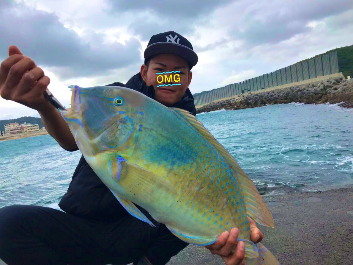 魚釣り隊 マクブ 沖縄三代高級魚 ツインパワーswxg ボトムキングタイプg 最近調子いい笑