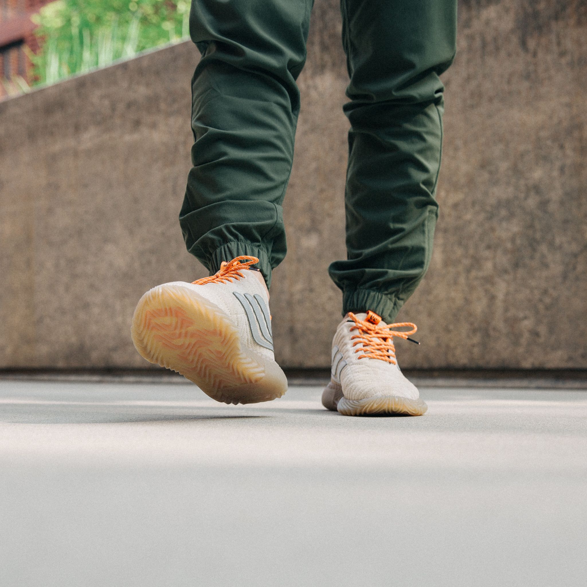 adidas bodega sobakov