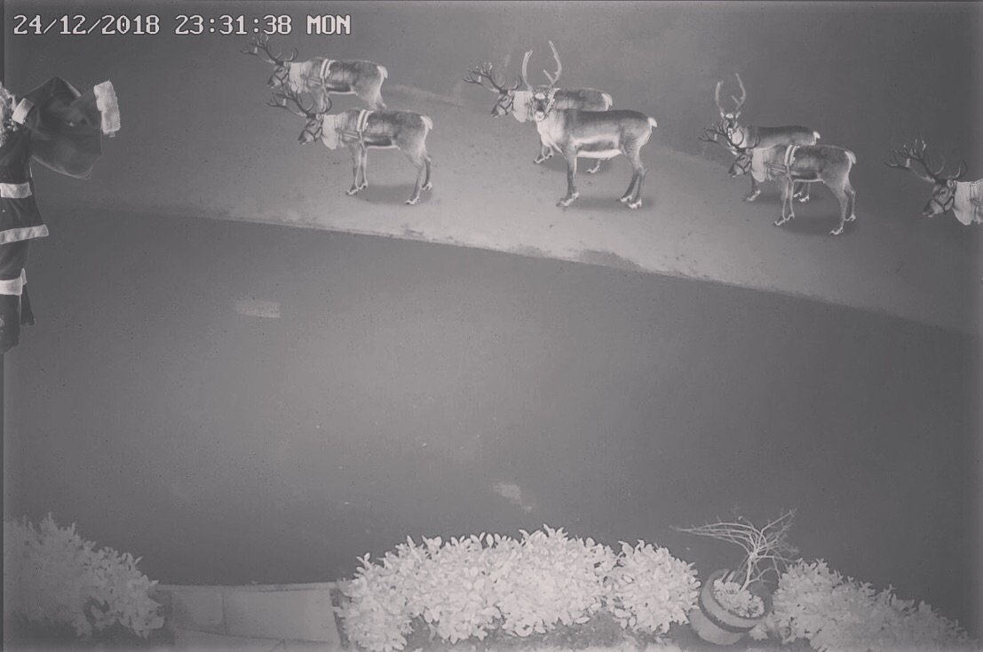 martinbuckley's tweet image. @ReolinkTech Shhhhhh he’s just arrived in the UK #reolinkcaptures 🎅🏼