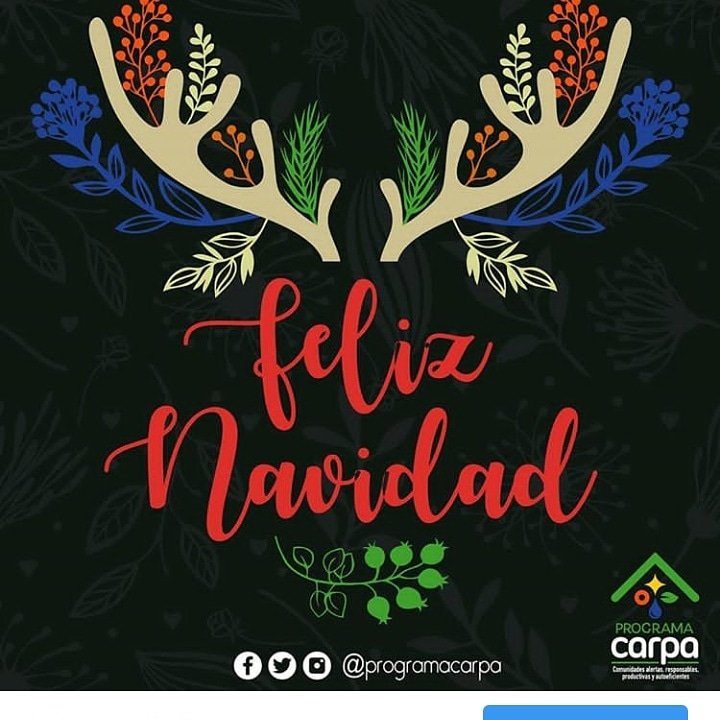 programacarpa's tweet photo. La época más mágica del año está tocando a nuestra puerta y es el momento de inundar de beneficios y bendiciones los hogares de nuestro #PacíficoColombiano🌲🙏 

Celebra con #ProgramaCarpa esta navidad y descubre todos los beneficios que tenemos preparados para ti. 

#Chocó https://t.co/o3cdp7909x