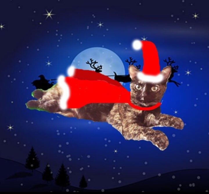 Mitheexferal's tweet photo. #FlyingWithSanta MIπ
π»π»β€οΈπΎβ¨π¦π« https://t.co/fejP4wEx3B