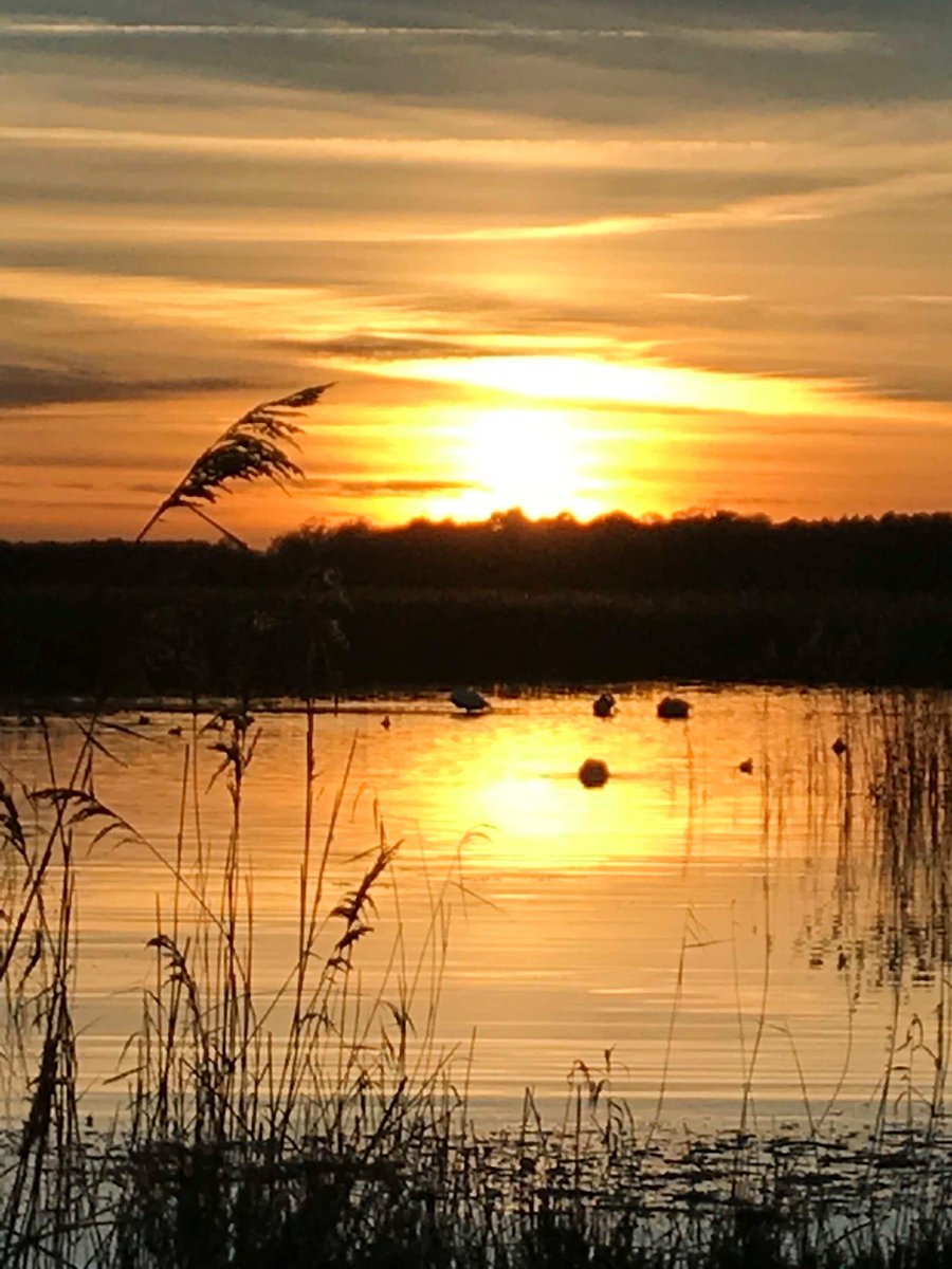 jenkt1's tweet photo. Christmas Eve Sunset @RSPBMinsmere
Sunset #Flamanville #France
I know which I'd rather have
Don't forget #EDFE 3rd & final #consultation starts 4th Jan #SayNo2SizewellC #suffolk Save our #HerritageCoast
@SuffolkAONB 🦆🦢🦉🦇🐿🐇🦡🍄🦋🐞🕷 https://t.co/pMQc2ThX74