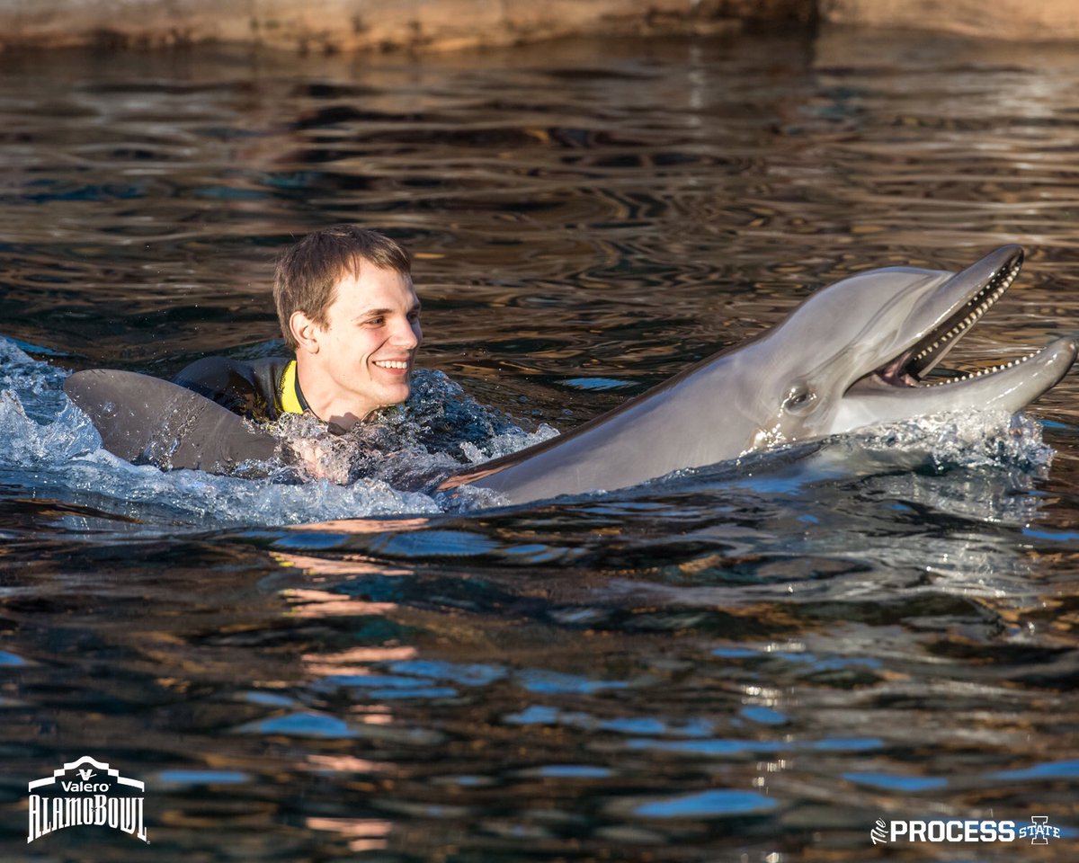 Thanks for having us <a href="/SeaWorldTexas/">seaworldtexas</a>! 

<a href="/valeroalamobowl/">Valero Alamo Bowl</a> 

#WinInTheDark 

🌪🏈🌪