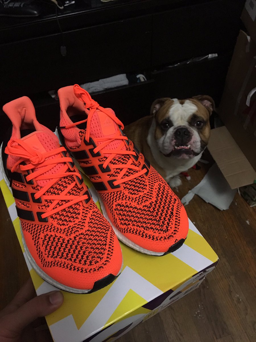 Solesurv1vor's tweet photo. Bae got me my first of the solar pack #solarorange 😍🎄🎁 https://t.co/ZIpOIf1err