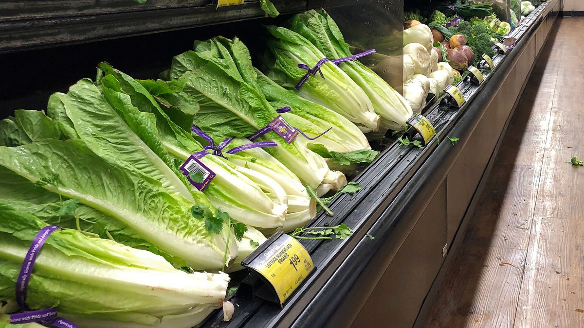 CTVToronto's tweet photo. Canadian health agency says romaine lettuce is safe to eat again https://t.co/69yBfFuqkU https://t.co/XWDqKVpuhJ