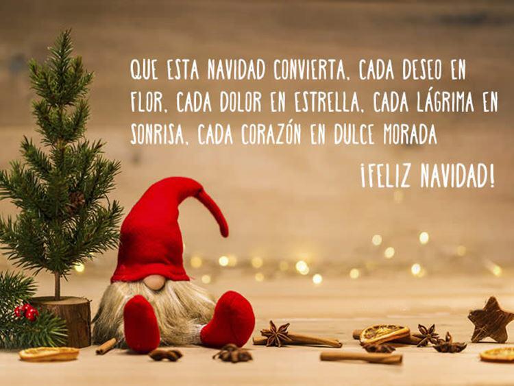 CCPConsultora's tweet photo. FELIZ NAVIDAD 🎅🤶
Es un deseo de todos los que día a día hacemos @CCPConsultora 
Que ésta noche buena sea el comienzo de un camino lleno de felicidad para tod@s! https://t.co/AlSh375WSG