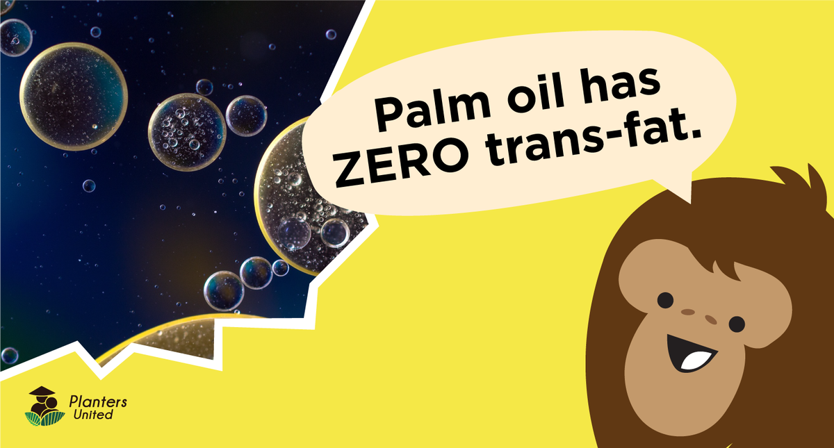 plantersunited's tweet photo. Palm oil does not contain any trans-fat which could increase the risk for heart disease and diabetes. #BapakAkuPeneroka #PalmOil #Malaysia #PlantersUnited #PalmOilForHealth, #CheaperNotInferior #OrangUtan #KikiTheOrangUtan https://t.co/lGhhXphCTG