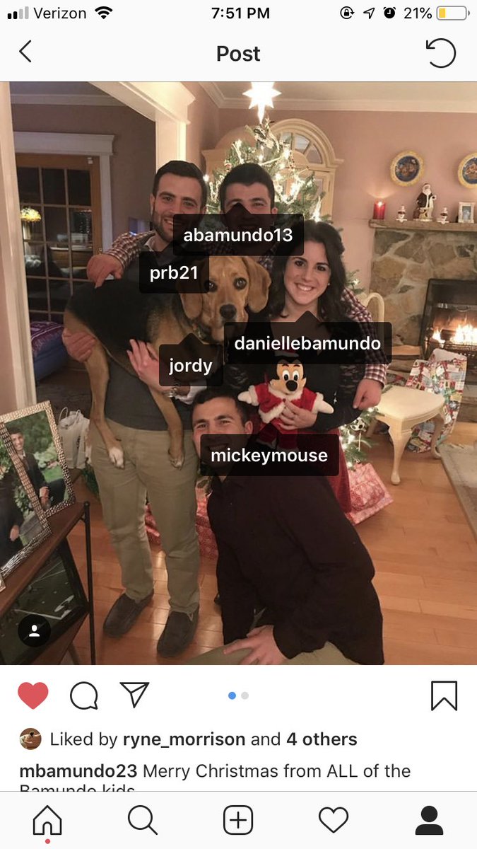 ABamundo13's tweet image. Every major holiday my family posts an instagram with my dog tagged as “Jordy” in the picture and the guy with that username finally replied to us