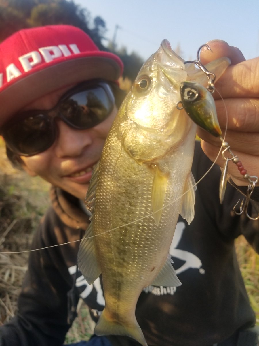 テールスピンジグ