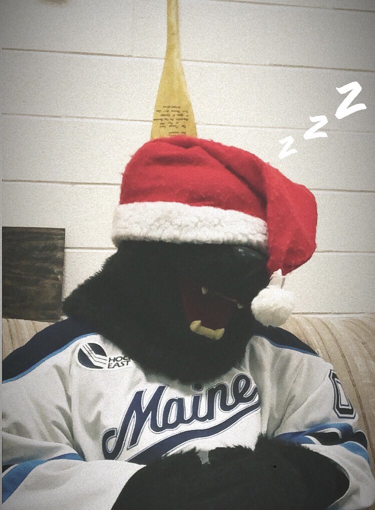 BananasTBear's tweet photo. @Rameses_UNC Not a creature was stirring, not even a mouse;
#MascotStoryTime https://t.co/YmbTasN0VZ