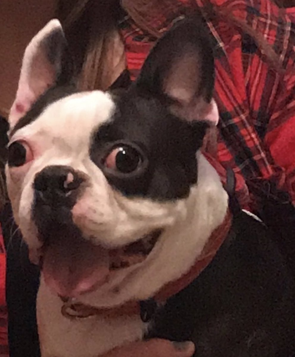 Patten_Pending's tweet photo. Me: “I don’t get as excited for presents as I used to.”
                                                                  Me at 5 am Christmas morning ready to open presents: https://t.co/4T68GHJgTc
