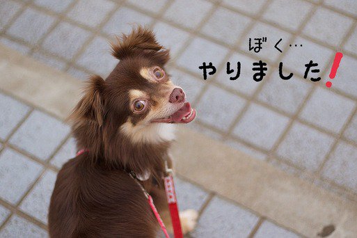 カータン S Recent Tweets 16 تحليلات تويتر الرسومية الخاصة