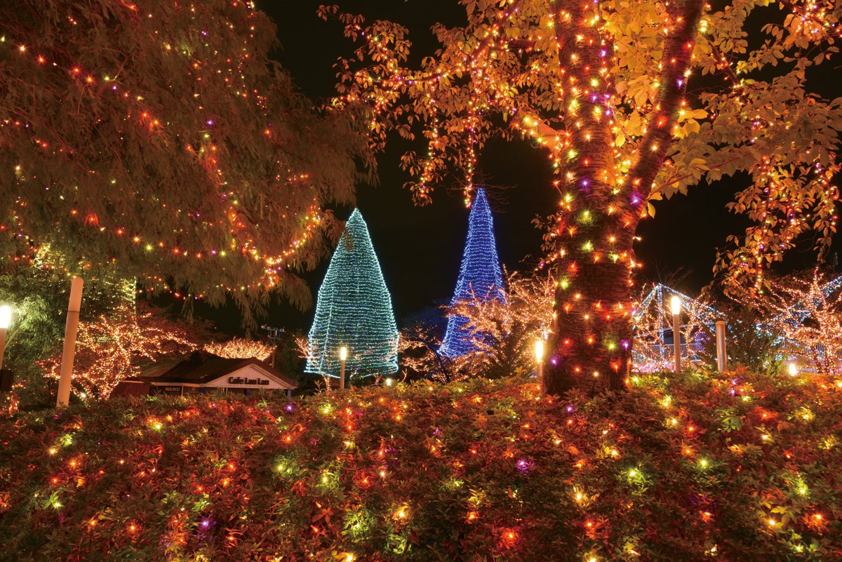 よみうりランド遊園地 公式 メリークリスマス クリスマスは ぜひ よみうりランドへ 全エリアリニューアルしたジュエルミネーションをお楽しみください クリスマスはよみうりランドへ クリスマス よみうりランド イルミネーション