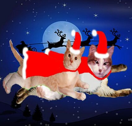 GordonHarmony's tweet photo. @fluffybasil @Cleo_sMommy @clawdiathecat @Tonithecat32 @Joeybird @nesjloch @vroberts9 @VitCza @JoyOfCats @carolineCMCE @sharon_cantley @AngusMcPussPuss @BloomNight2 @Rosie_fluffybun @keepupwithjen Hi Basil !
Merry Christmas ❤🎅
Sending Christmas love out to all our friends.
Marmy's CELLPHONE froze up again. 😔
Just got it working again. Missed #FlyWithSanta 😢
Can't wait until we can get a new phone!
All else is okay.
If we drop off, you'll know the phone failed. https://t.co/bKrstFuKaw