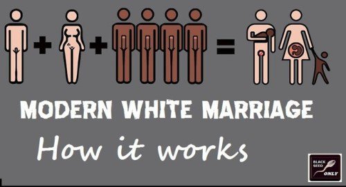 Interracial Cuckold tweet media