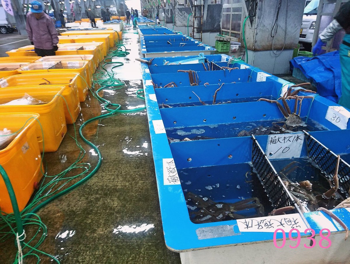 keita_maruya's tweet photo. 漁港に水揚げされる海産物は獲れるだけ獲っていいわけではなく、魚種によって漁獲可能量TAC (#TotalAllowableCatch)が決められています
#松葉ガニ (ズワイガニ)も未来に残すべき大切な水産資源です
#但馬の風景
https://t.co/fx6ELWq1GG https://t.co/b5tYwkOTtK