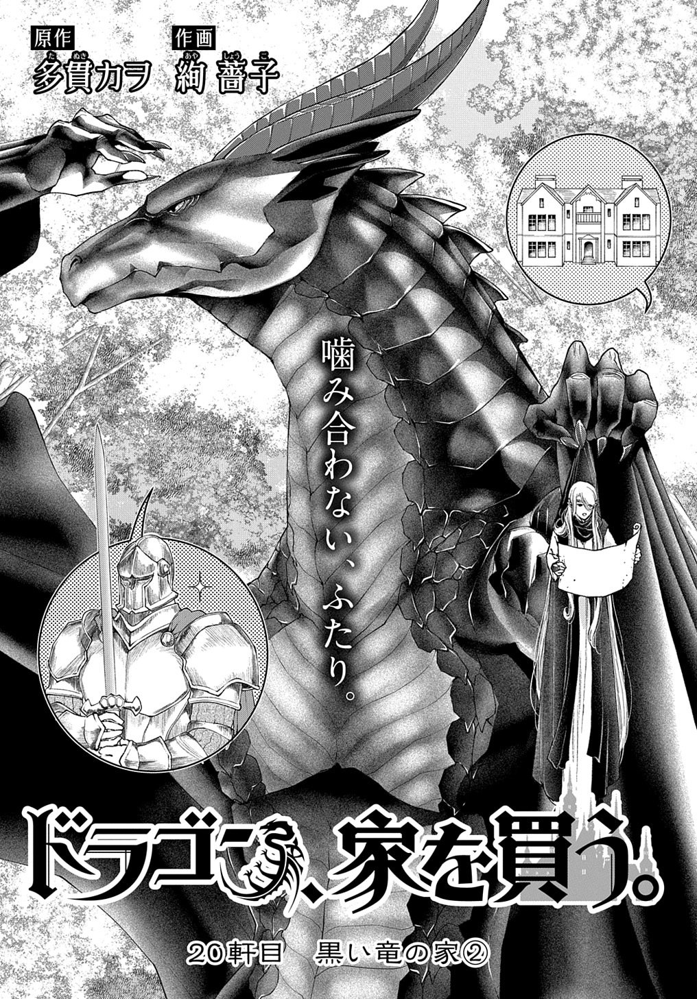 最大66%OFFクーポン ドラゴン 家を買う 1 絢薔子 直筆イラスト入り