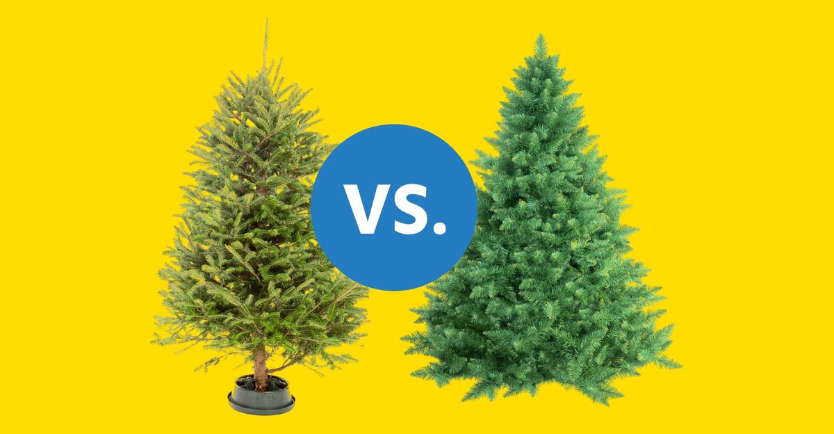 🎄| Gehoord in de wandelgangen: "Ja, natuurlijk is een echte #kerstboom beter voor het klimaat dan zo'n plastic ding." Maar is dit ook echt zo? Wij zochten het uit en dit bleek nog best lastig... 

➡️ bit.ly/kerstboom-duur…