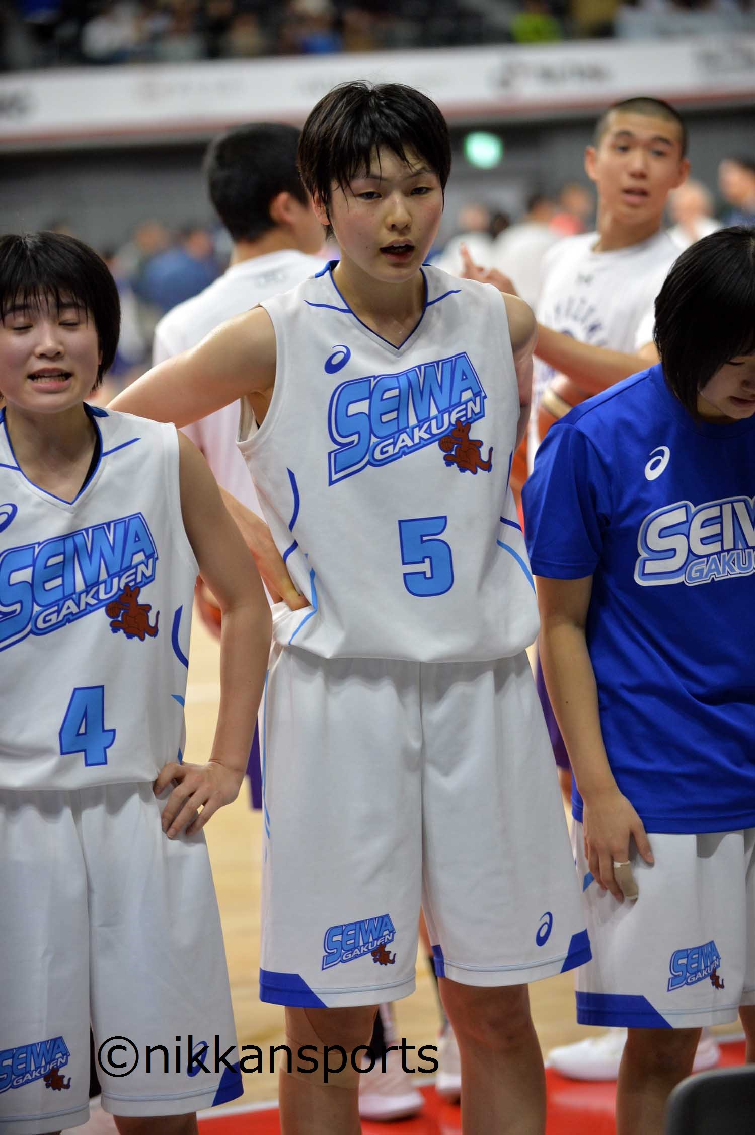 岐阜女子 Twitter Search Twitter