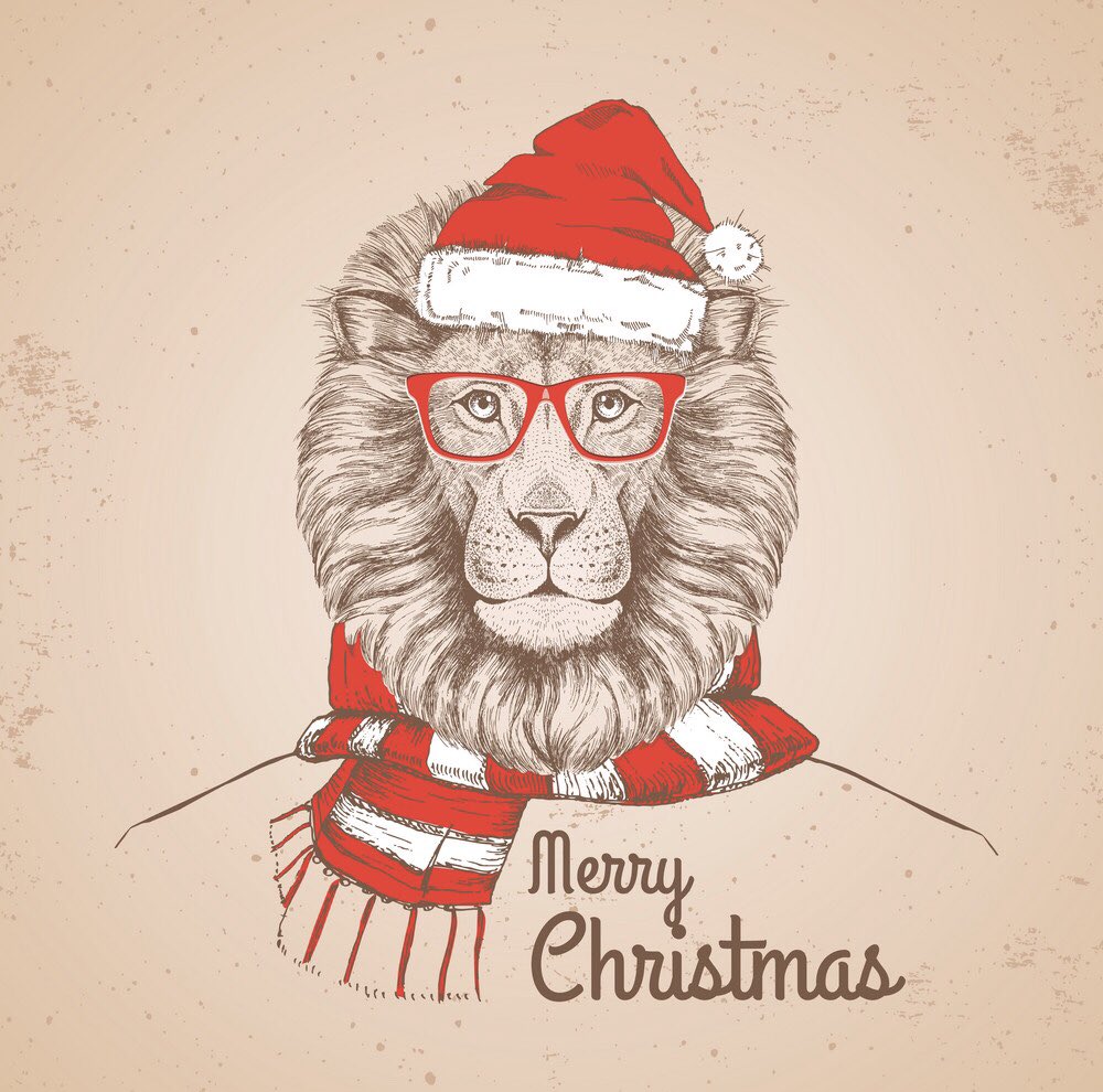Merry Christmas @lufflions. 
