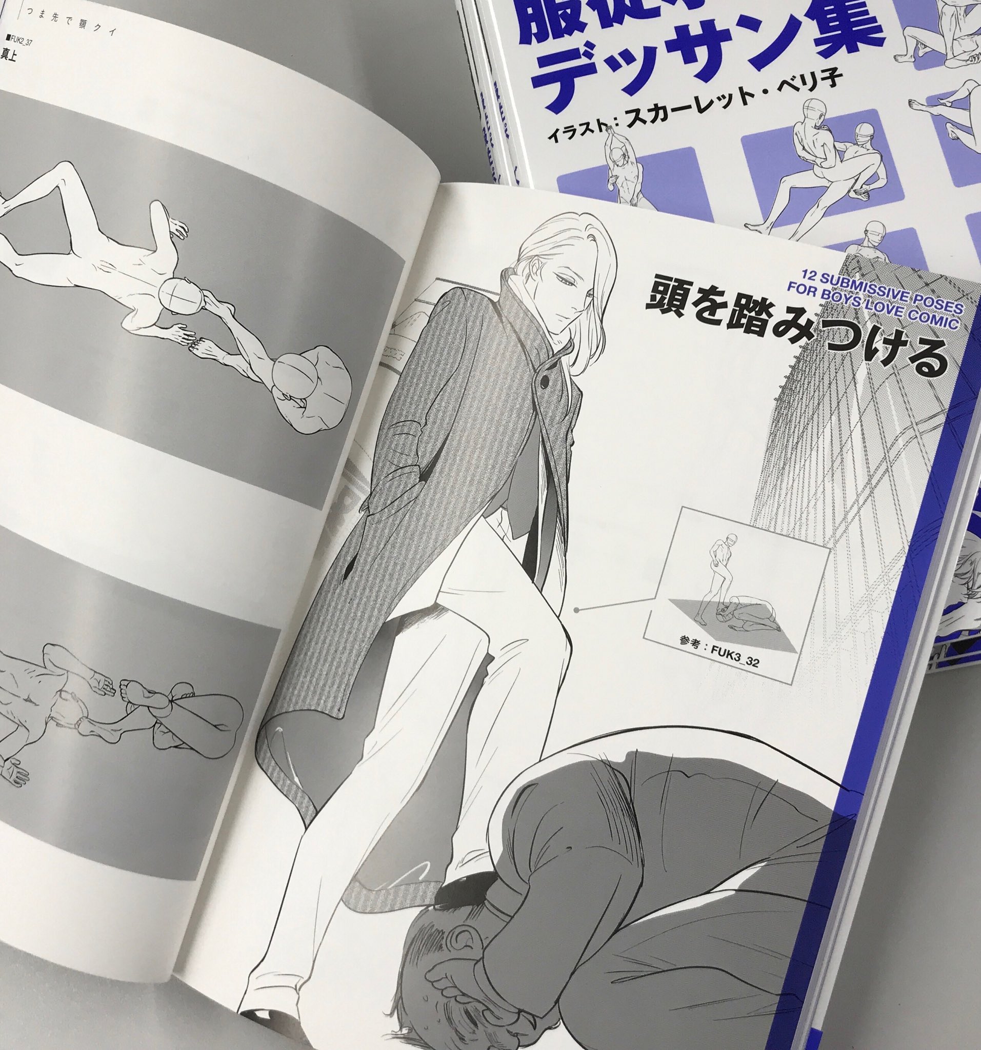 通常在庫品 スカーレット・ベリ子先生 デッサン集セット | iuggu.ru