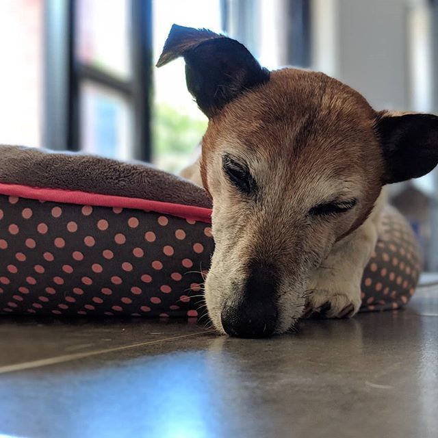 MickyC's tweet image. Post Christmas lunch feels..... bit.ly/2SfdUy1