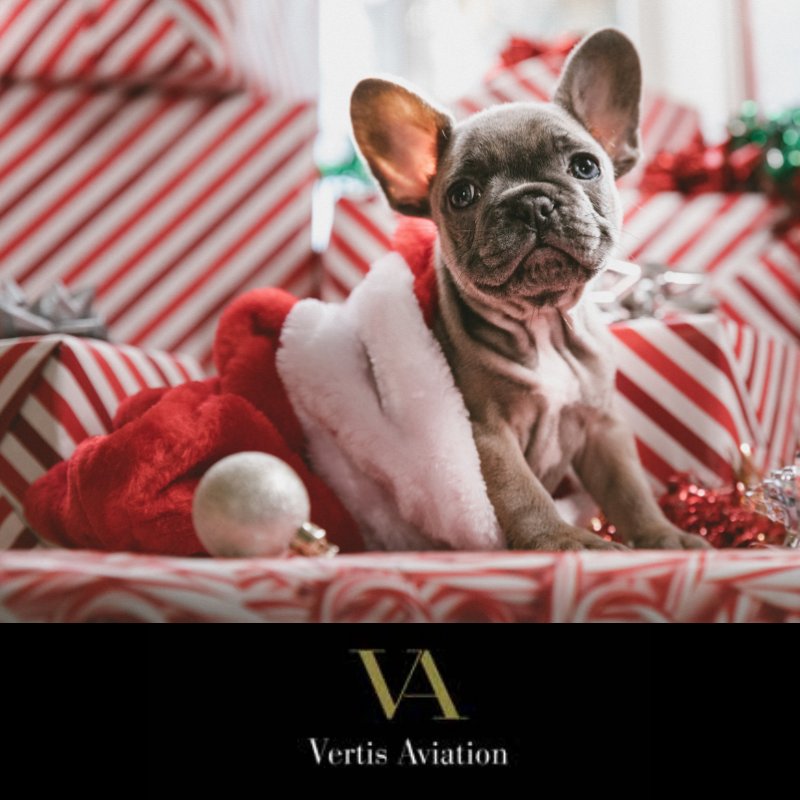 VertisAviation's tweet photo. ๐๐ We wish you a very #HappyHolidays & a peaceful & prosperous #NewYear โ๐โ๏ธ๐
#MerryChristmas from all of us at #VertisAviation ๐
#Christmas #Christmas2018 #Xmas #Xmas2018 #HappyHolidays #Festive #ChristmasPresents #Christmastime #ChristmasTradition #DiscoverChristmas https://t.co/LCLbXgFkrO