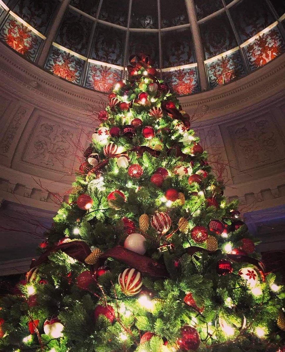 Threadneedles's tweet photo. 🎶 O Christmas Tree, O Christmas Tree 🎶 Wishing you a very Merry Christmas from Threadneedles Hotel. 🎄🥂

#ThreadneedlesHotel #YTLHotels #ChristmasWithYTLhotels
#TreasuredPlacesTreasuredMoments #AutographCollection #LuxuryHotel #MerryChristmas https://t.co/Fcw9fTJQxy