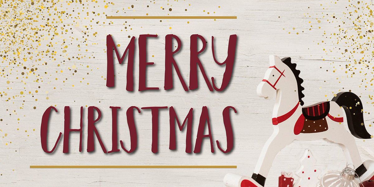 westernshoppe's tweet photo. Wishing you a happy and memorable Christmas with your loved ones (four legged too!) 🐴🎄 https://t.co/gdQ9u7N5q4