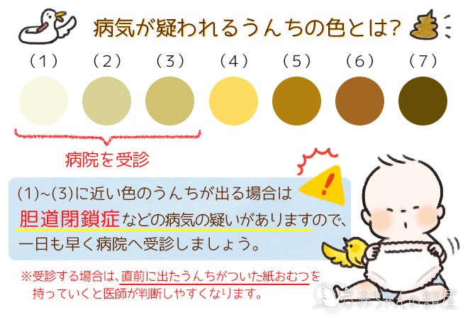 のだかおり イラストレーター 胆道閉鎖症 に 訂正されました T Co F3mwbk9dyt Twitter