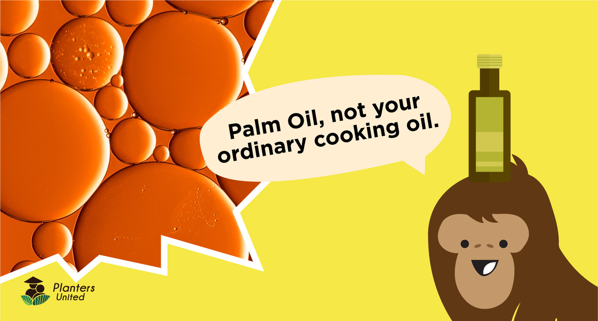 plantersunited's tweet photo. Palm oil has high nutritional value, containing palmitic acid, which is a 16-carbon saturated fatty acid, distinguishing itself from other cooking oils. #BapakAkuPeneroka #PalmOil #Malaysia #PlantersUnited #PalmOilForHealth, #CheaperNotInferior #OrangUtan #KikiTheOrangUtan https://t.co/FmiBDQGriy