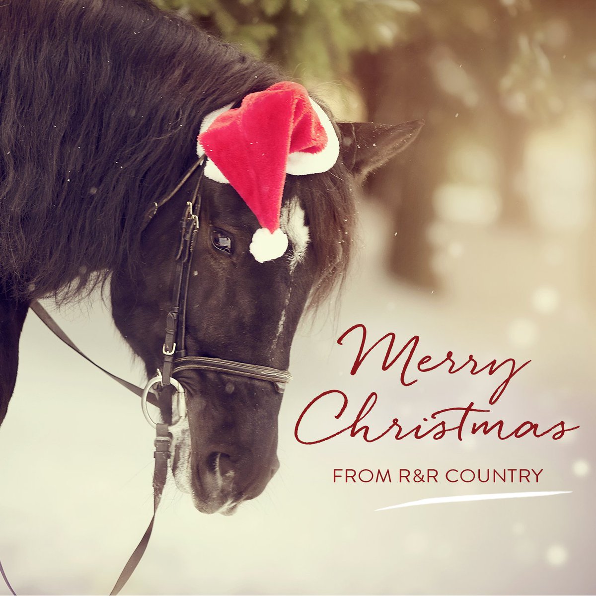 Merry Christmas from all of us at R&amp;R Country - We hope Santa brought you lots of horsey goodies!