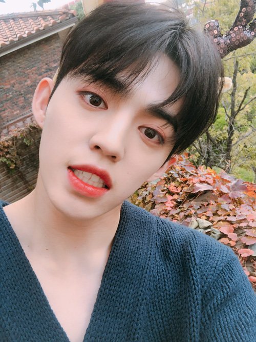WOOJI60696272's tweet photo. ☆🦍🐹SEVENTEEN🐭🐶☆
盲目すぎるCarat💎
うーたんと11/22に妄想結婚

くぷちゅ！ほちくん！
うーたん！ぎゅぎゅ！ペン。

同ペンさん他ペンさん
年上さん,年下さん
大歓迎です🙆🙆🙆

05line🇯🇵🇰🇷中２ https://t.co/jFn9QUrkv9