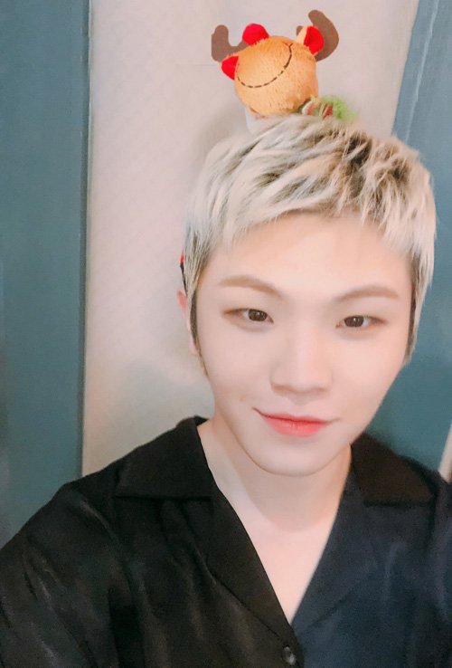 WOOJI60696272's tweet photo. ☆🦍🐹SEVENTEEN🐭🐶☆
盲目すぎるCarat💎
うーたんと11/22に妄想結婚

くぷちゅ！ほちくん！
うーたん！ぎゅぎゅ！ペン。

同ペンさん他ペンさん
年上さん,年下さん
大歓迎です🙆🙆🙆

05line🇯🇵🇰🇷中２ https://t.co/jFn9QUrkv9