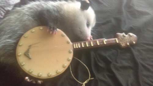 is this peter writing our songs or a possum? i guess we’ll never know.