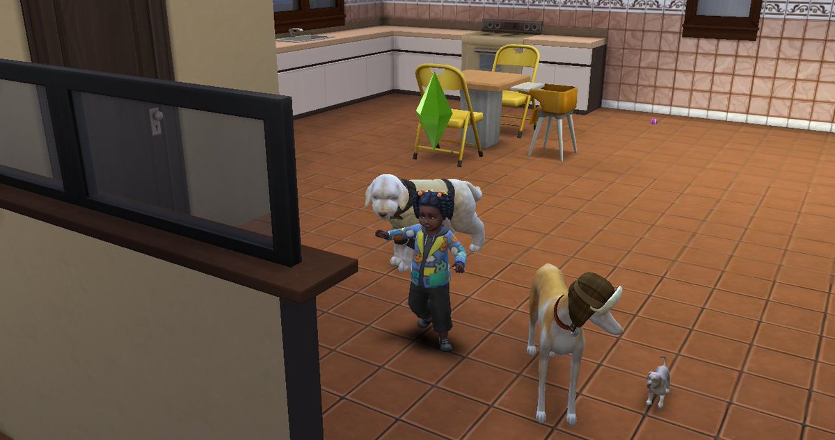 "And here a few other members of the household: our three dogs and my daughter. The dogs - from left to right - are named Betty, Buddy and Buster. And my daughter's name is Fatima."

Three dogs and a little child. No wonder Liam wasn't often seen out in town.