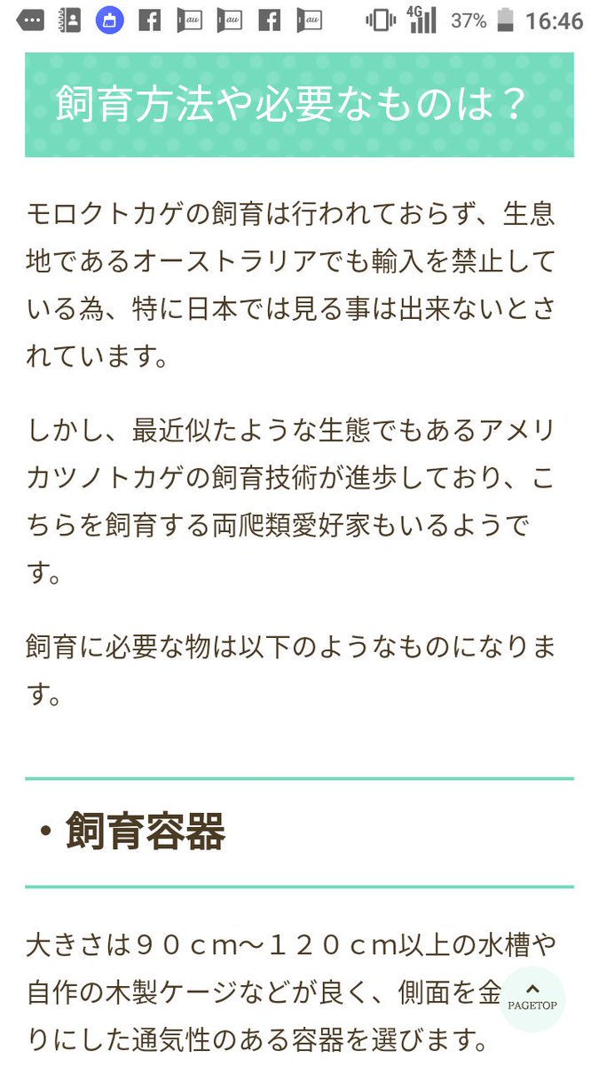 ジュラの杜 爬虫類カフェ 専門店 仙台 平成最後の衝撃入荷 夢の モロクトカゲ 入荷しました 国内初販売致します もちろん高額生体ですが この機会は2度とないでしょうwwwww 他言無用 お問い合わせお待ちしております ジュラの杜 爬虫類カフェ 専門店 仙台 平成最後の衝撃入荷 夢の モロクトカゲ 入荷しました 国内初販売致します もちろん高額生体ですが この機会は2度とないでしょうwwwww 他言無用 お問い合わせお待ちしております