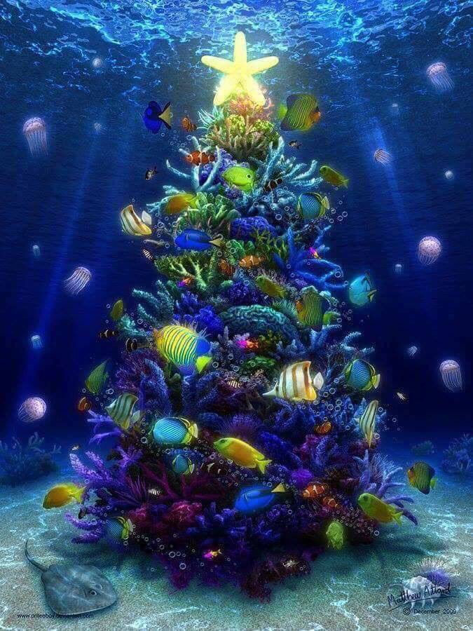Merry Christmas everyone!