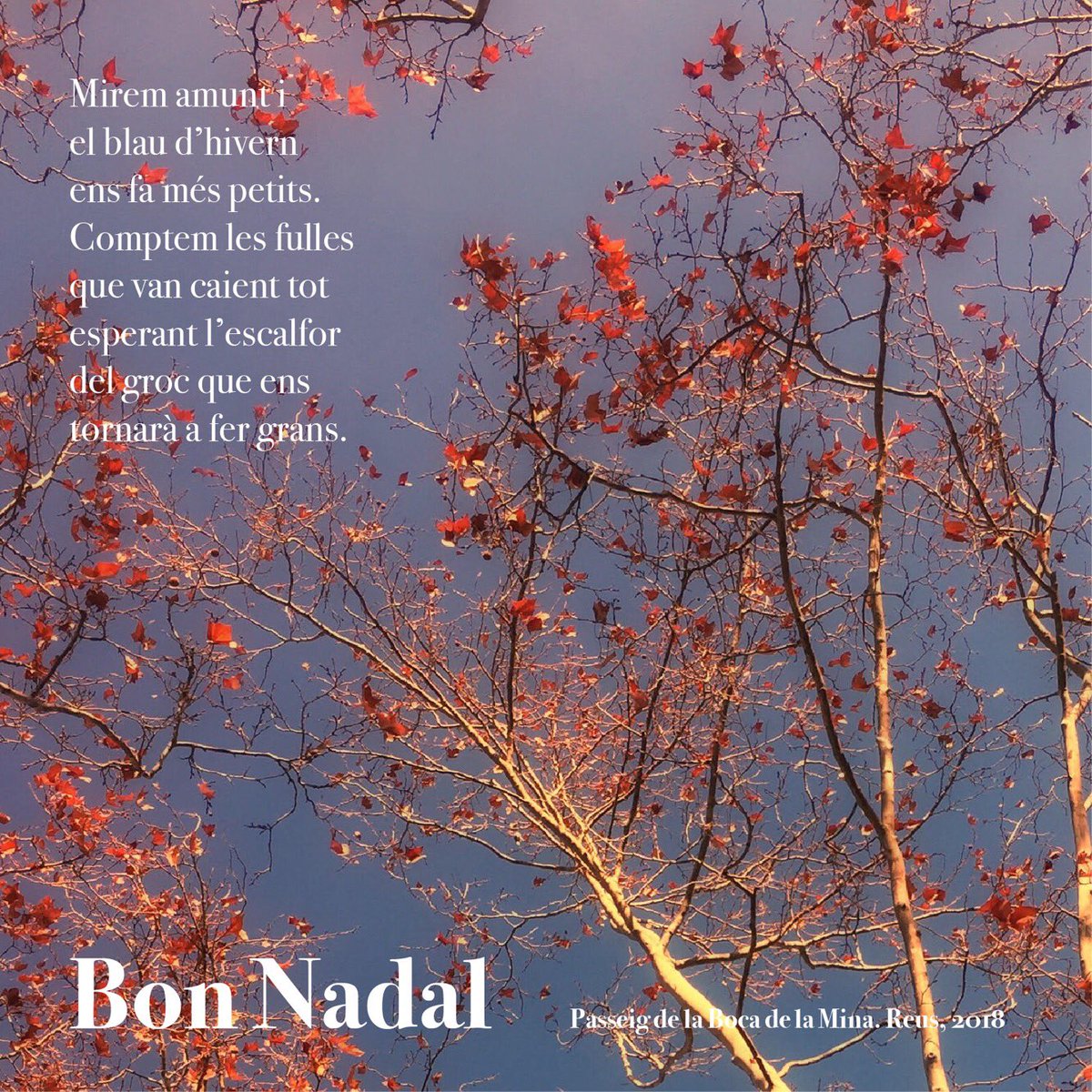 davidamigo_'s tweet photo. Bon Nadal https://t.co/UCwbE2BMP9
