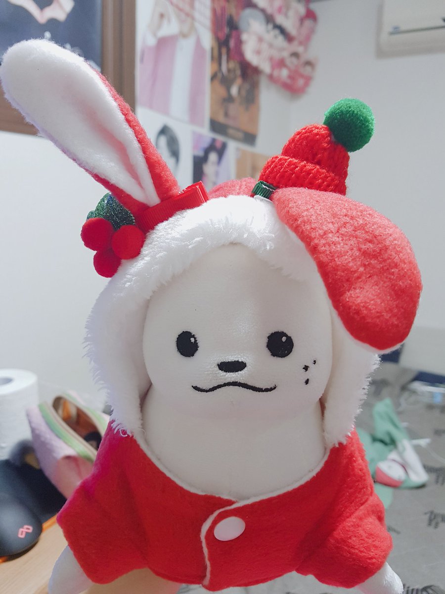 _amazing_egg's tweet photo. 메리 크리스마스예옹❣ https://t.co/f0ShLgnTD9