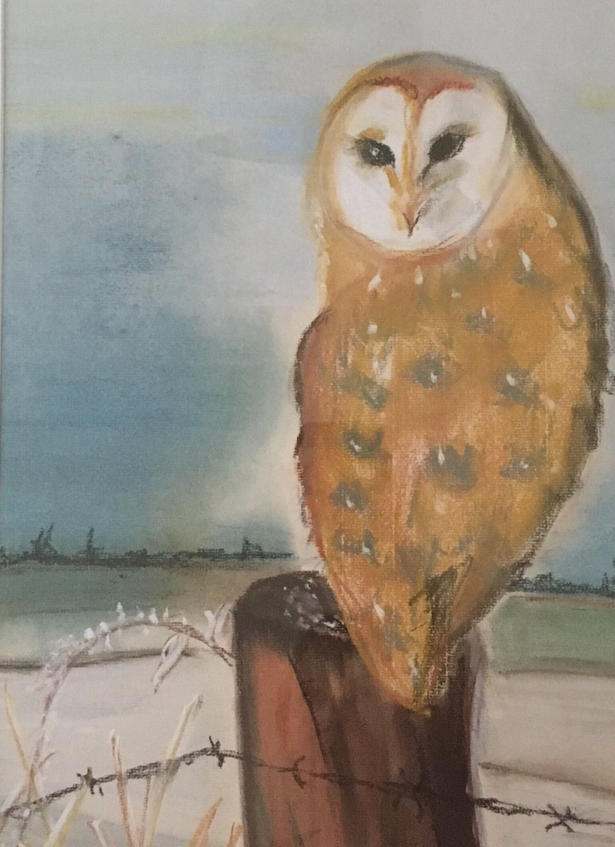 Mid Cheshire Barn Owl Conservation Group On Twitter Merry