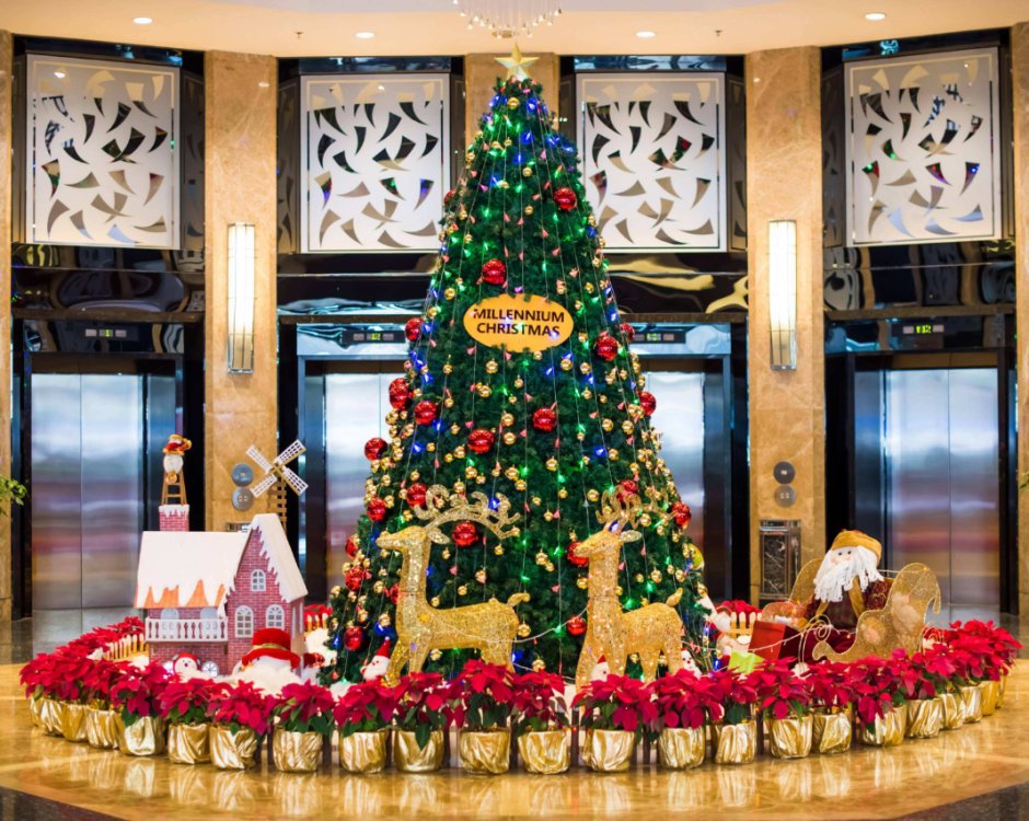 We will  be on Chinese Spring Festival from 26th of Jan to 14th of Feb in 2019.