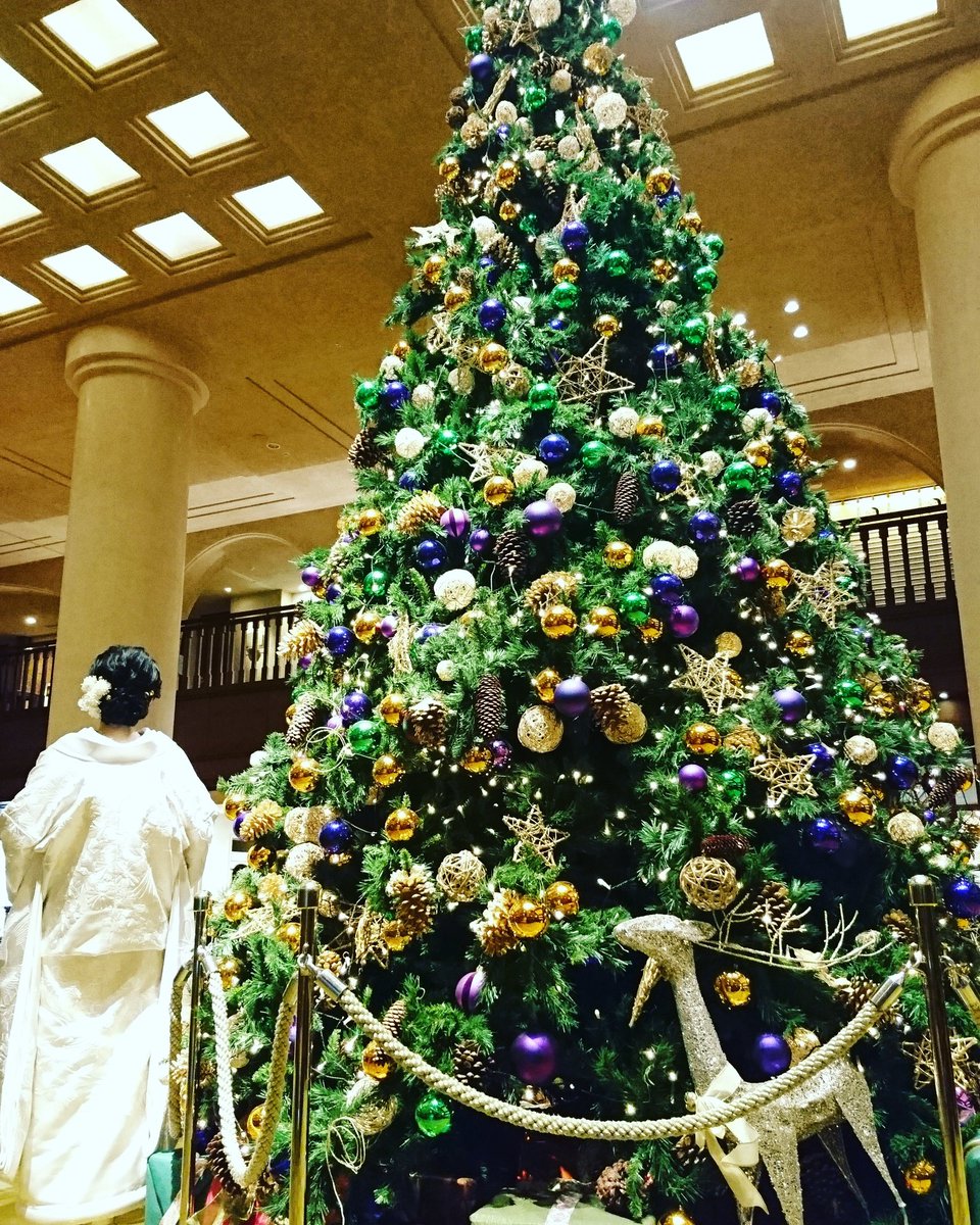 山崎藍子 V Twitter 京都 ホテルのロビーに 大きなクリスマスツリー 花嫁さんが撮影中 素敵 クリスマスツリー Merrychristmas Hotel Kyoto Kimono 花嫁 山崎藍子 V Twitter 京都 ホテルのロビーに 大きなクリスマスツリー 花嫁さんが撮影中 素敵 クリスマスツリー Merrychristmas Hotel Kyoto Kimono 花嫁